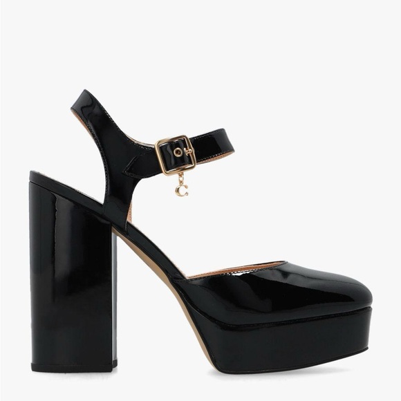 Coach Isabella Ankle-Strap Platform Block-Heel Pumps - Picture 4 of 16